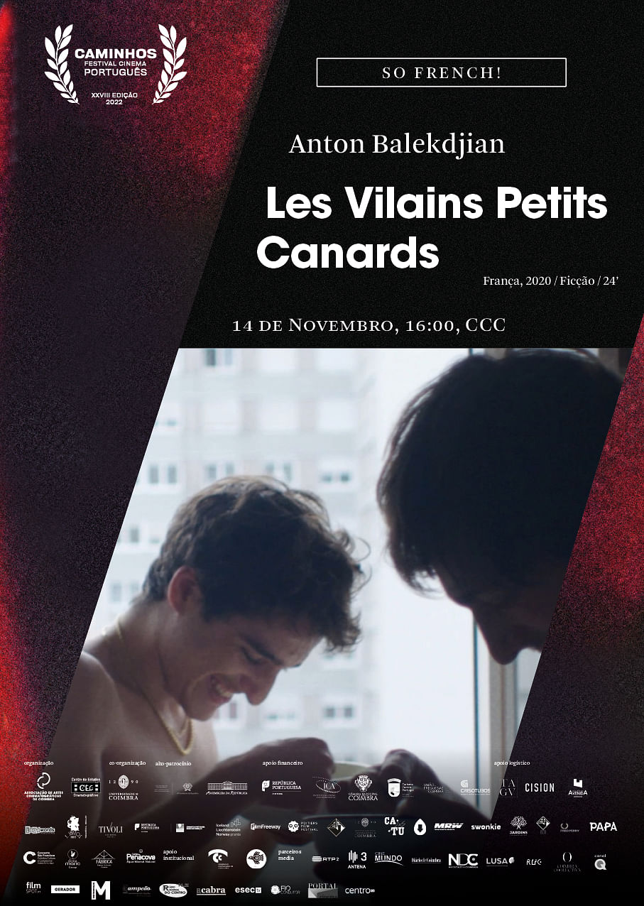 poster de Les Vilains Petits Canards