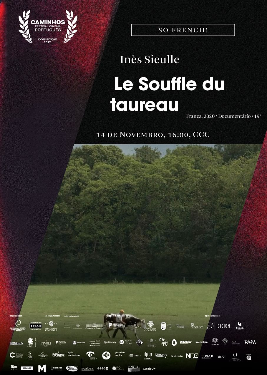 poster de Le Souffle du taureau